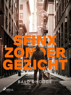 Cover Sfinx zonder gezicht (eBook, ePUB)