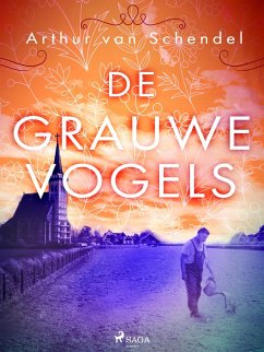 Cover De grauwe vogels (eBook, ePUB)