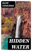 Hidden Water (eBook, ePUB)