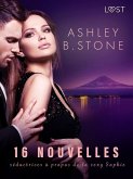 16 nouvelles séductrices à propos de la sexy Sophie (eBook, ePUB)