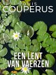 Een lent van vaerzen (eBook, ePUB) - Bild 1