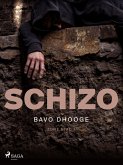 Schizo (eBook, ePUB)