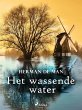 Het wassende water (eBook, ePUB) - Bild 1