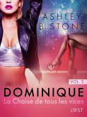 Dominique 3 : La Chaise de tous les vices - Une nouvelle érotique (eBook, ePUB)