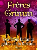 Les Trois Enfants gâtés de la fortune (eBook, ePUB)