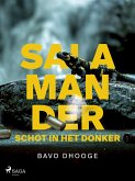 Salamander: Schot in het donker (eBook, ePUB)