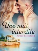 Une nuit interdite - une nouvelle érotique (eBook, ePUB)