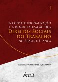 A Constitucionalização e a Democratização dos Direitos Sociais do Trabalho no Brasil e França (eBook, ePUB)