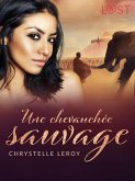 Une chevauchée sauvage - Une nouvelle érotique (eBook, ePUB)