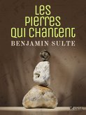 Les Pierres qui Chantent (eBook, ePUB)