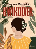 Kwikzilver (eBook, ePUB)