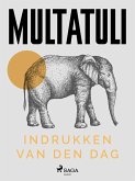 Indrukken van den dag (eBook, ePUB)
