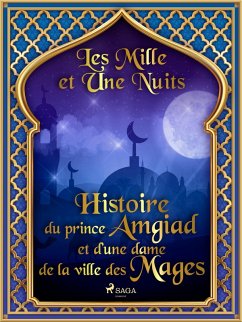 Cover Histoire du prince Amgiad et d'une dame de la ville des Mages (eBook, ePUB)