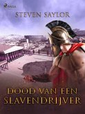 Dood van een slavendrijver (eBook, ePUB)
