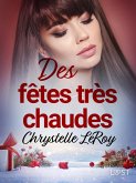 Des fêtes très chaudes- Une nouvelle érotique de Noël (eBook, ePUB)