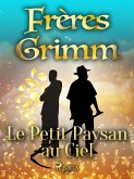Le Petit Paysan au Ciel (eBook, ePUB)