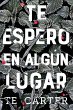 Te espero en algún lugar (eBook, ePUB) - Bild 1