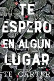 Te espero en algún lugar (eBook, ePUB) Te espero en algún lugar (eBook, ePUB)