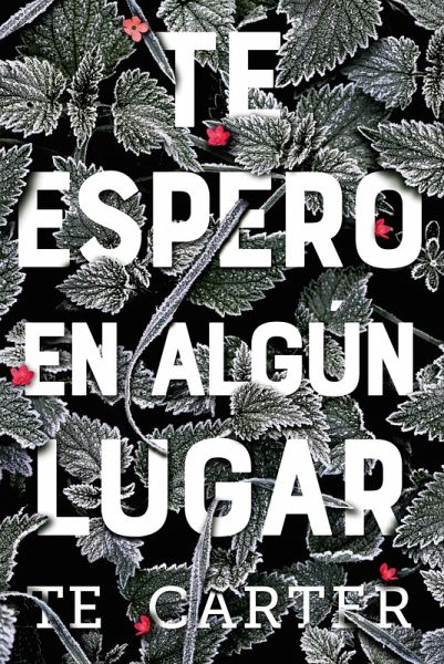 Te espero en algún lugar (eBook, ePUB)