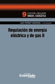 Regulación de energía eléctrica y de gas ii (eBook, PDF)