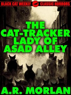 The Cat-Tracker Lady of Asad Alley (eBook, ePUB)