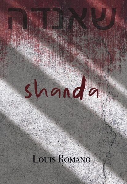Shanda (eBook, ePUB)