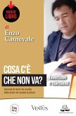 Cosa c'è che non va? (eBook, ePUB)