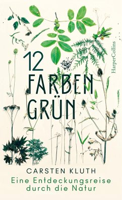 12 Farben Grün - Eine Entdeckungsreise durch die Natur (Mängelexemplar) - Kluth, Carsten