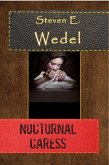 Nocturnal Caress (eBook, ePUB)