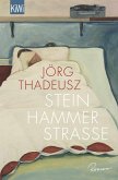 Steinhammer (eBook, ePUB)