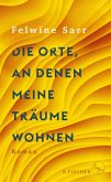 Die Orte, an denen meine Träume wohnen (eBook, ePUB)