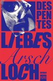 Liebes Arschloch (eBook, ePUB)