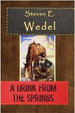 A Drink from the Springs (eBook, ePUB)