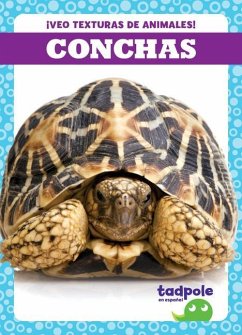 Conchas (Shells) - Gleisner, Jenna Lee
