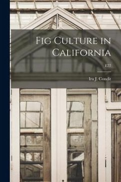 Fig Culture in California; E77