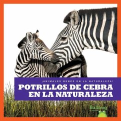 Potrillos de Cebra En La Naturaleza (Zebra Foals in the Wild) - Brandle, Marie