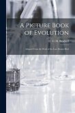 A Picture Book of Evolution: Adapted From the Work of the Late Dennis Hird