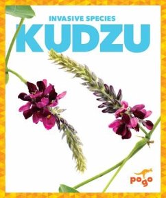 Kudzu - Klepeis, Alicia Z