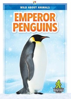 Emperor Penguins - Marie, Renata