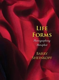 Life Forms: Photographing Metaphor - Sheinkopf, Barry