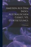 Ameisen Aus Dem Indo-Australischen Gebiet, VII. (Fortsetzung).