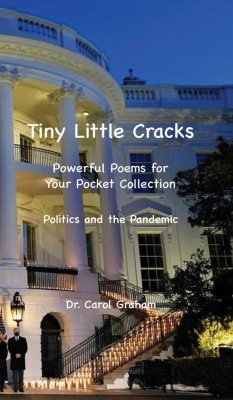 Tiny Little Cracks - Graham, Carol J.