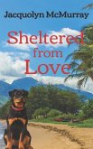 Sheltered from Love: Clean & Wholesome Second Chance Romance