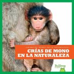 Crías de Mono En La Naturaleza (Monkey Infants in the Wild)
