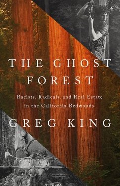 The Ghost Forest - King, Greg