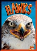 Hawks