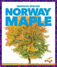 Norway Maple - Klepeis, Alicia Z
