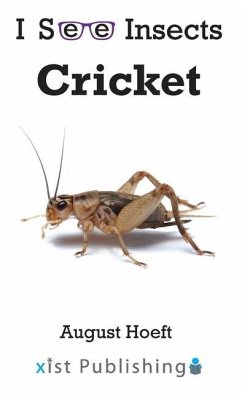 Cricket - Hoeft, August