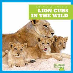 Lion Cubs in the Wild - Brandle, Marie