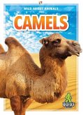 Camels